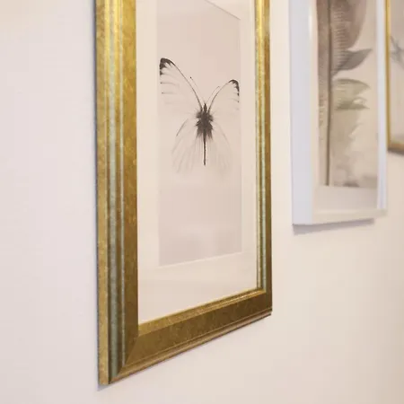 Yourbanflat Butterfly *
