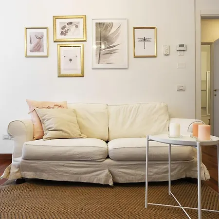 Yourbanflat Butterfly *